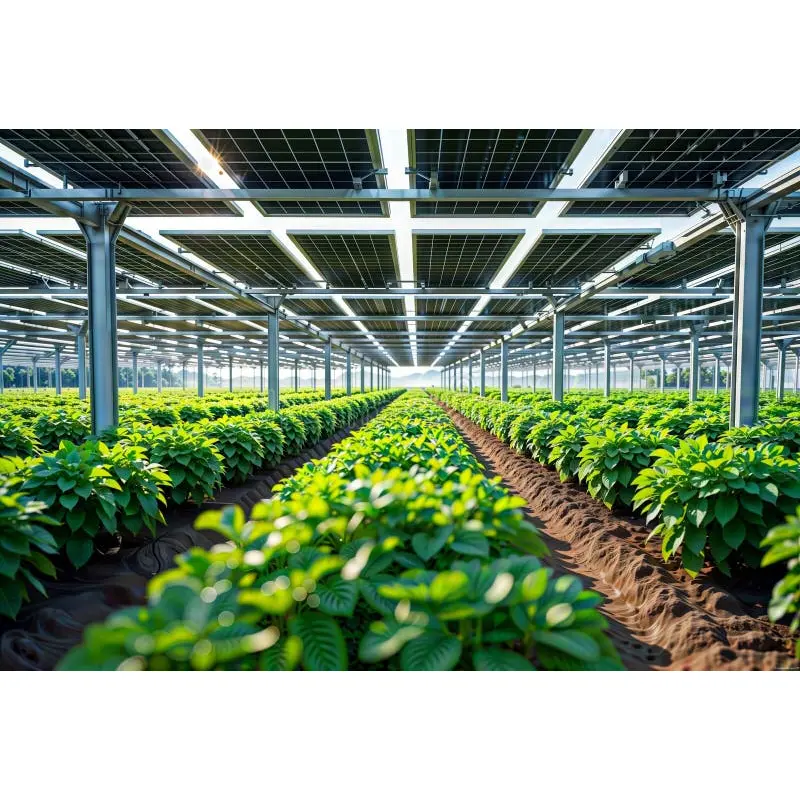 Agrivoltaic Solar Drivhus System
